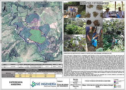 Grupos locales del clima